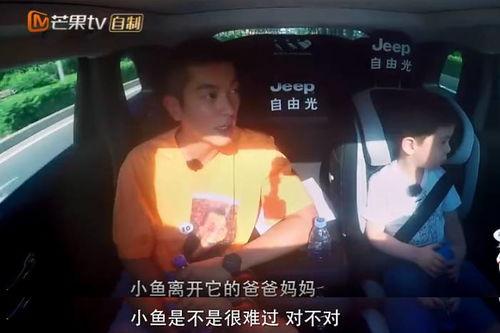 黑哥爆料小小鱼视频,小小鱼视频背后的惊人真相 第3张 黑哥爆料小小鱼视频,小小鱼视频背后的惊人真相 第3张